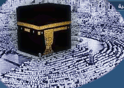 ���� ����� �������� : ������ ��������